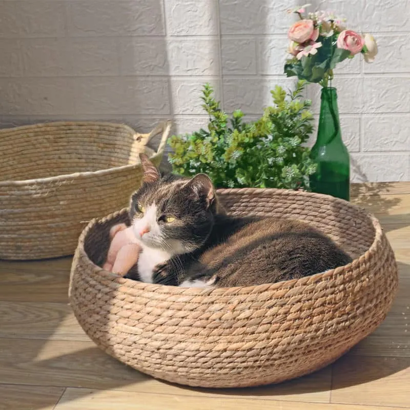 Naturalny rattan i ręczne plecenie