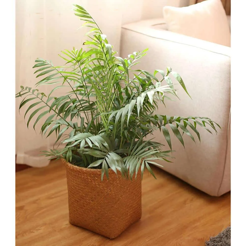 Naturalny rattan i ręczne plecenie
