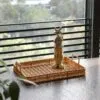 Taca z uchwytami imitująca rattan